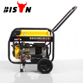 BISON CHINA 2000 watt Electric Start Gasoline Generator 2000w Petrol Generator 2kw Natural Gas Generator